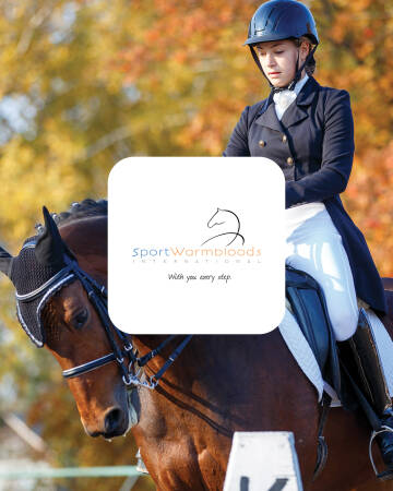 Sport Warmbloods